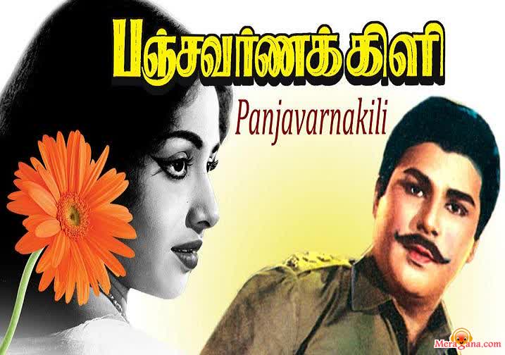 Poster of Panjavarnakili (1965)
